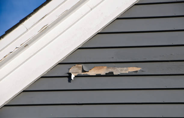 Best Composite Siding  in Reedsburg, WI
